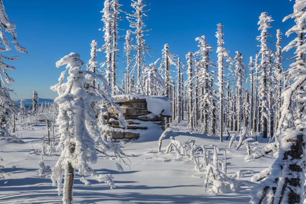 Winterwanderung Dreisessel - Hochkamm, Bayerischer Wald