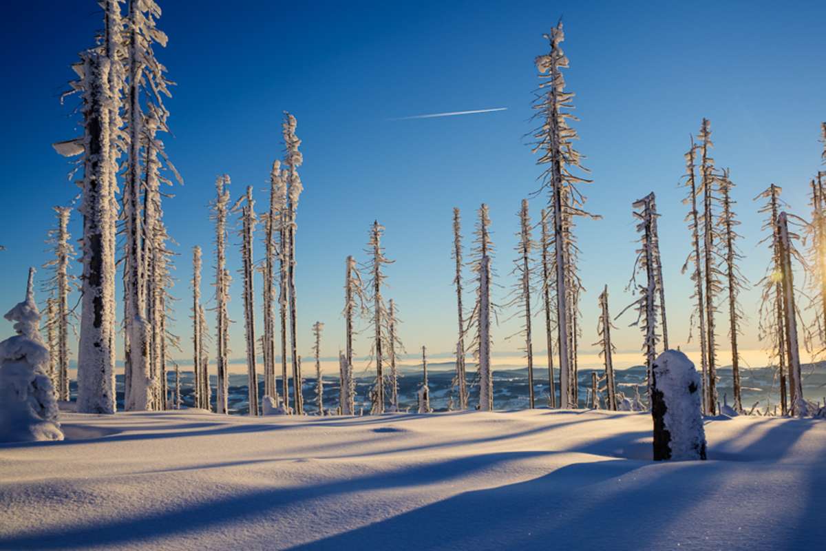 Winterwanderung Dreisessel - Hochkamm, Bayerischer Wald