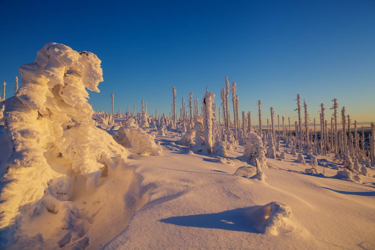 Winterwanderung Dreisessel - Hochkamm, Bayerischer Wald