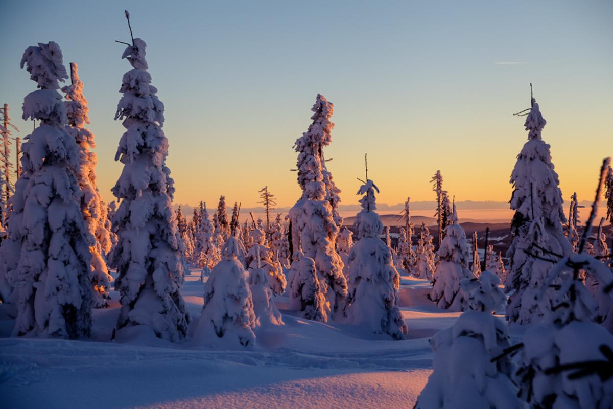 Winterwanderung Dreisessel - Hochkamm, Bayerischer Wald