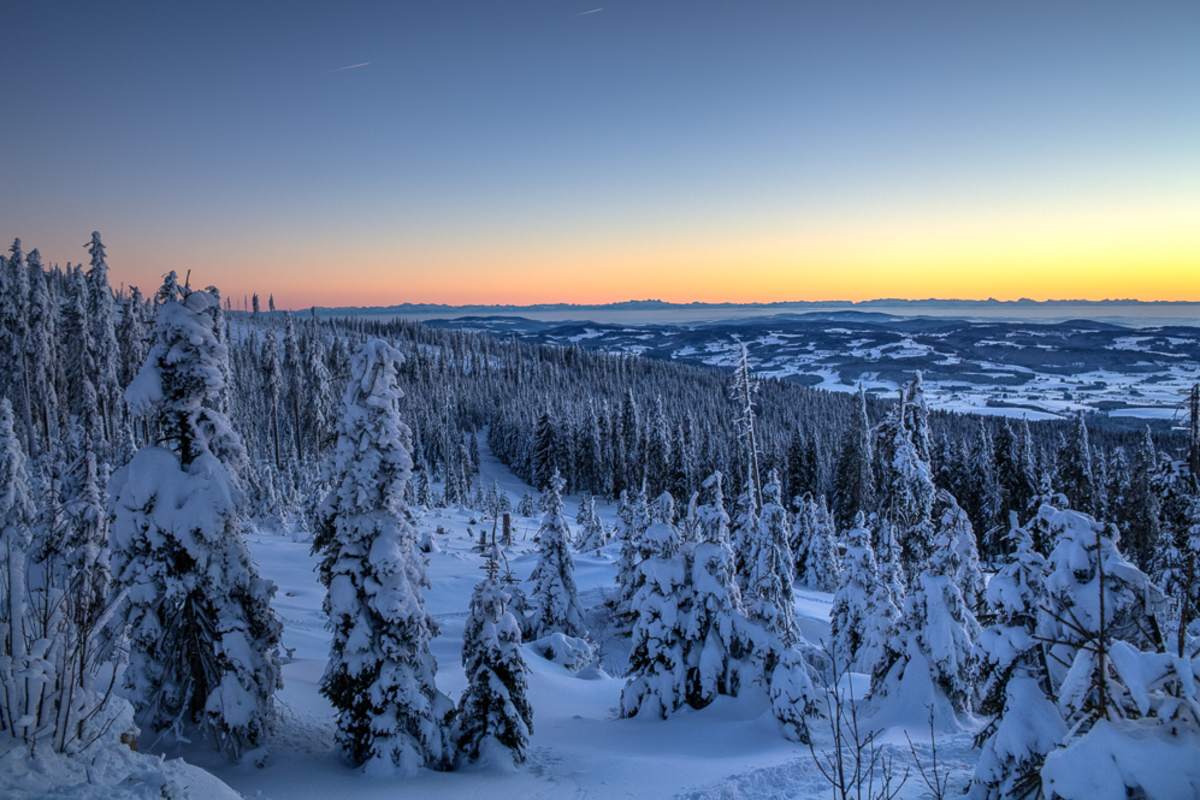 Winterwanderung Dreisessel - Hochkamm, Bayerischer Wald