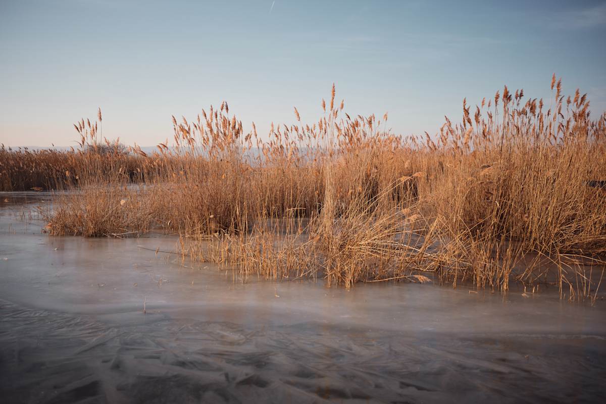 Winterstimmung am See