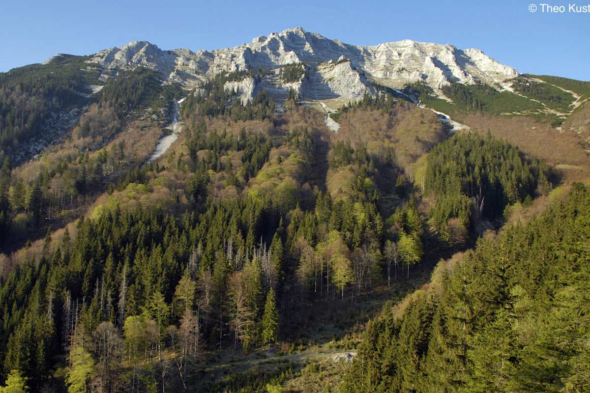 Südwestflanke des Dürrenstein im Frühling