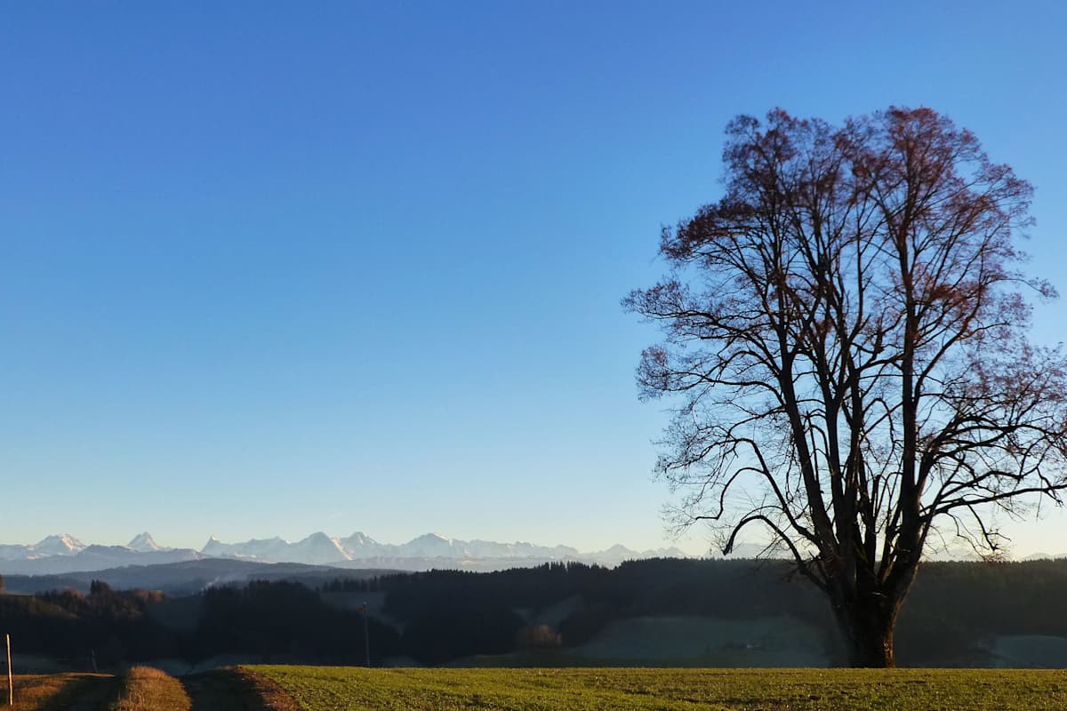 Emmental in Bern: Aussichtspunkt Wasenegg Oberburg