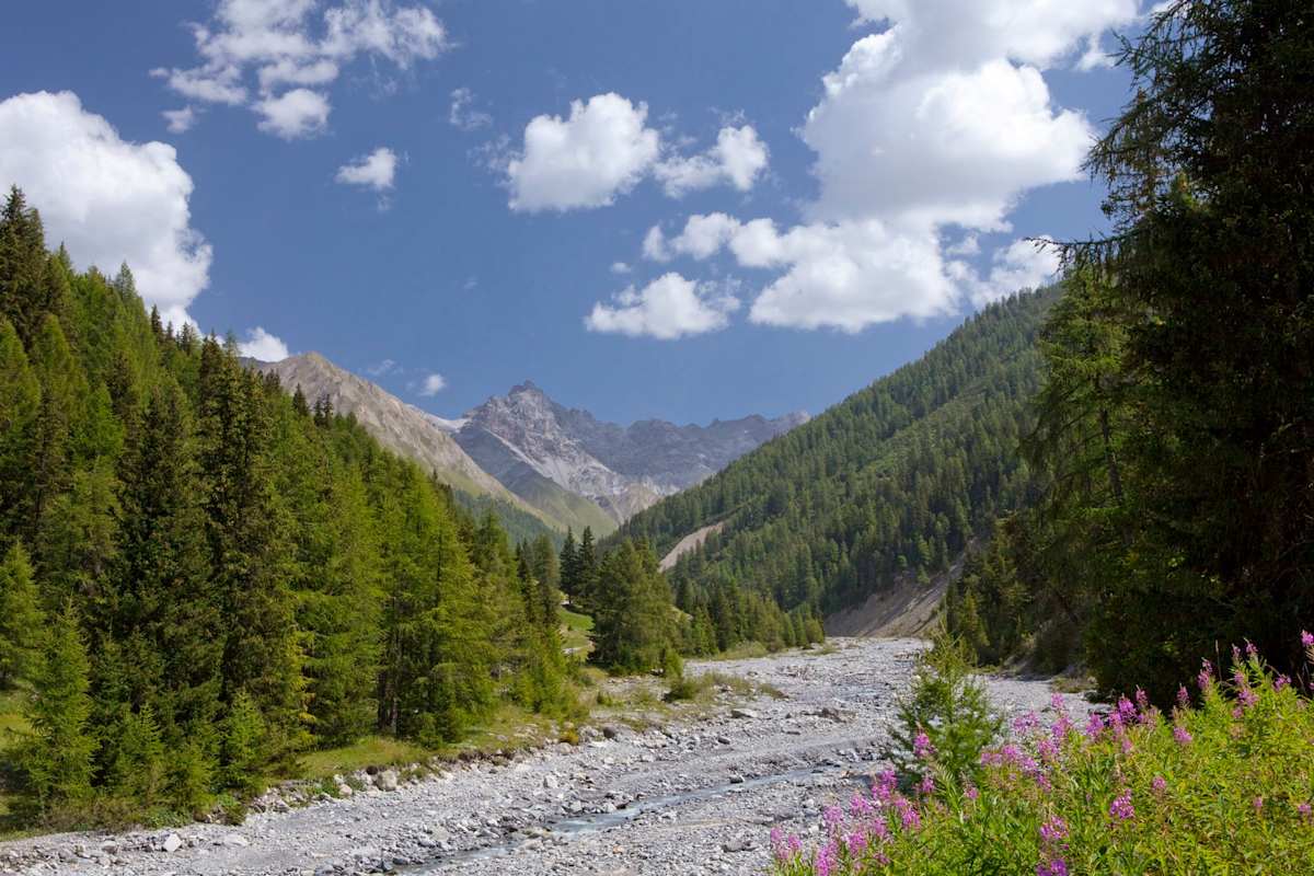 Val Trupchun im Schweizerischen Nationalpark