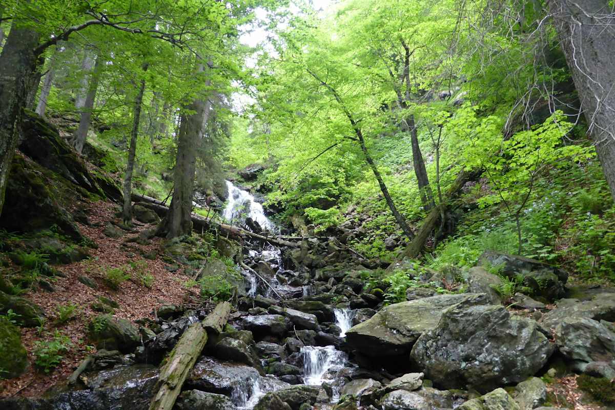 Nationalpark Bayerischer Wald