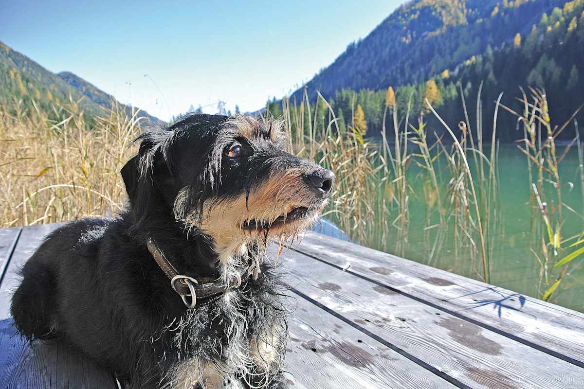 Kärntner Seen: Farchtensee