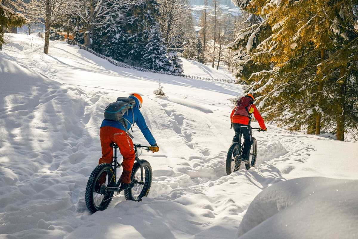 Die Abfahrt mit dem Fatbike durch Wald und Wiesen