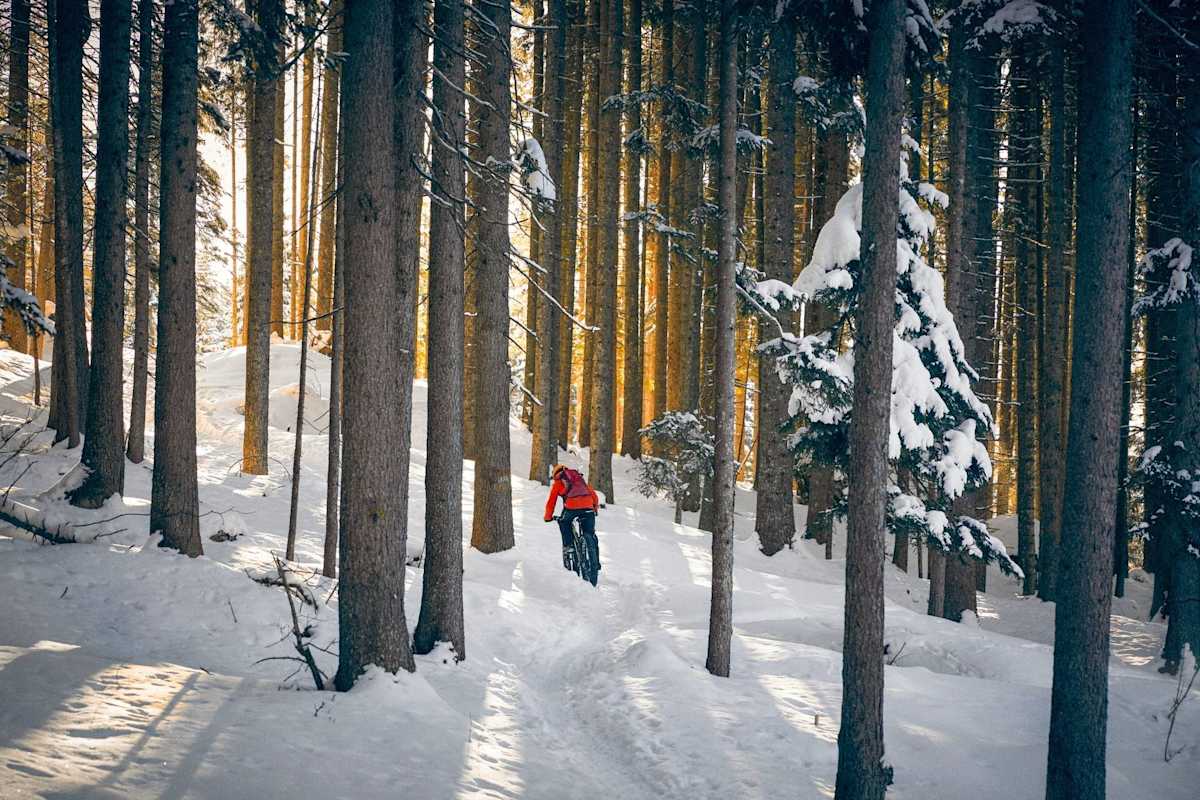 Fatbiken durch den winterlichen Wald