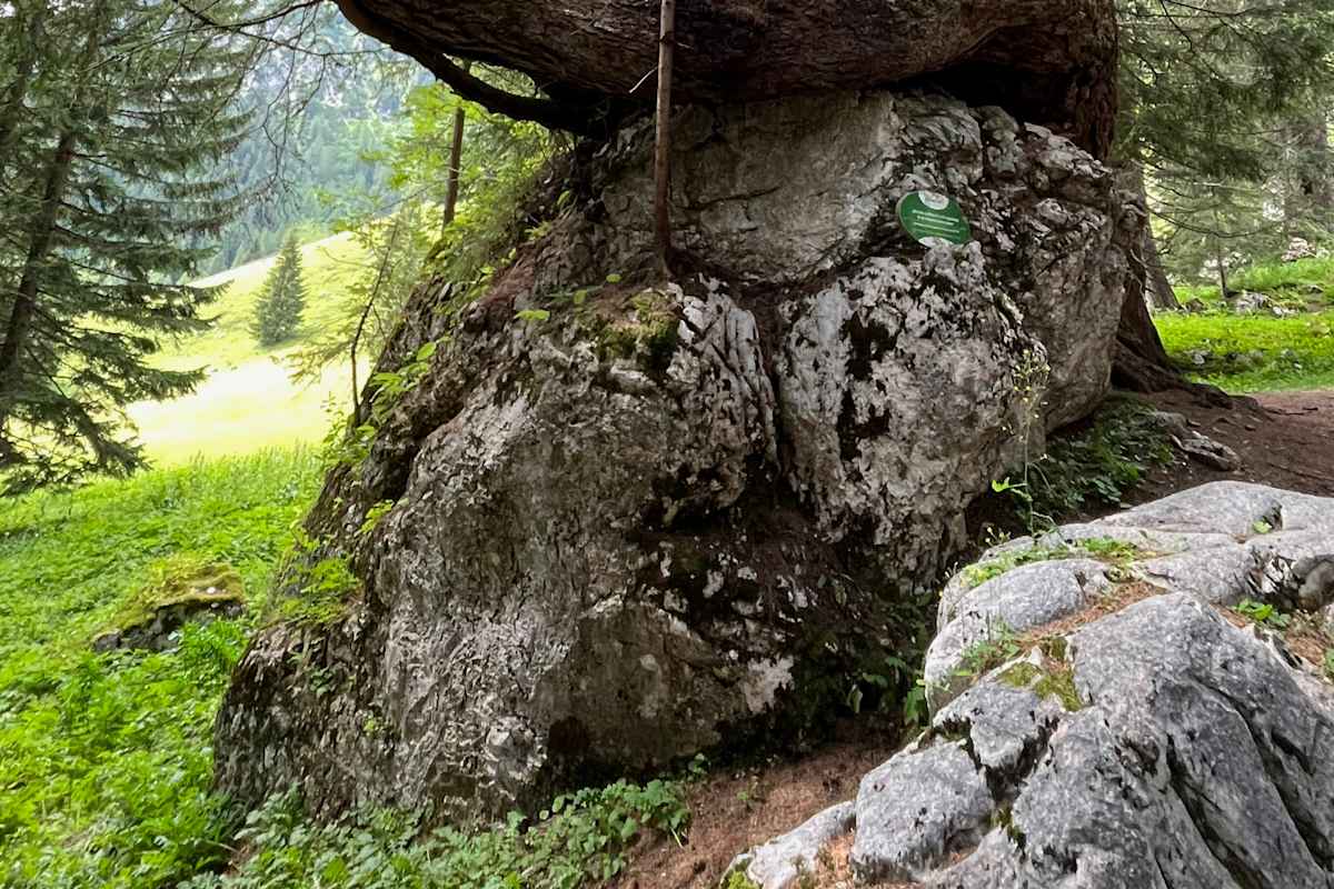 Einer der Kraftplätze in Filzmoos im Salzburger Land 