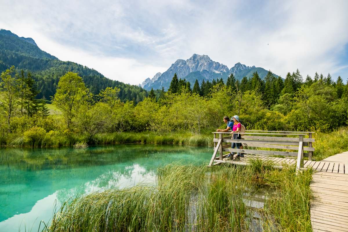 Die Laghi di Ledine (Save Flussquellen) im Naturschutzgebiet Zelenci