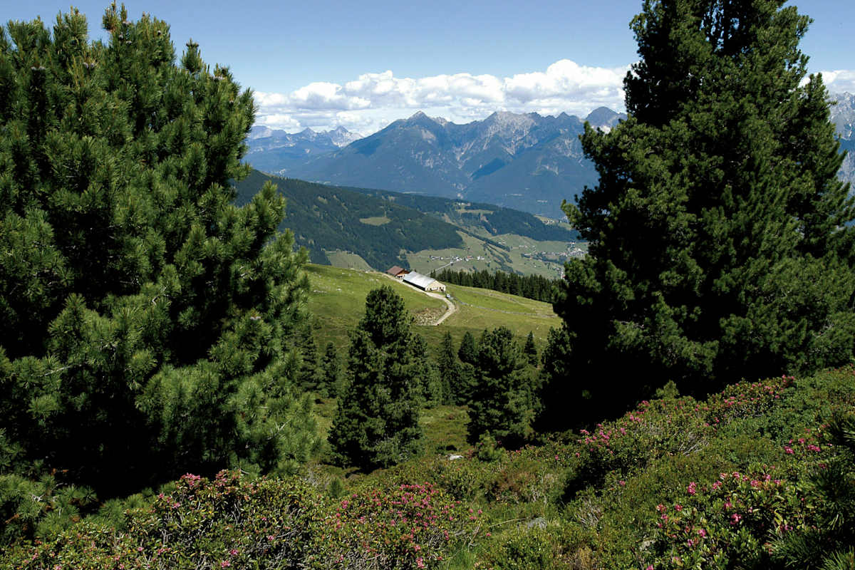 Bergsteigerdorf Sellraintal Fotschertal