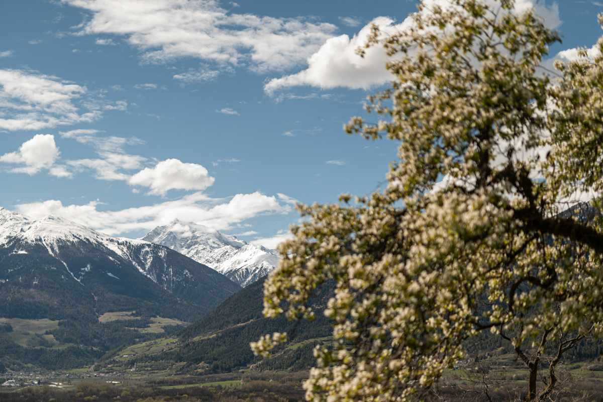 Während im Tal schon der Frühling eingekehrt ist, herrscht am König Ortler noch Winter.