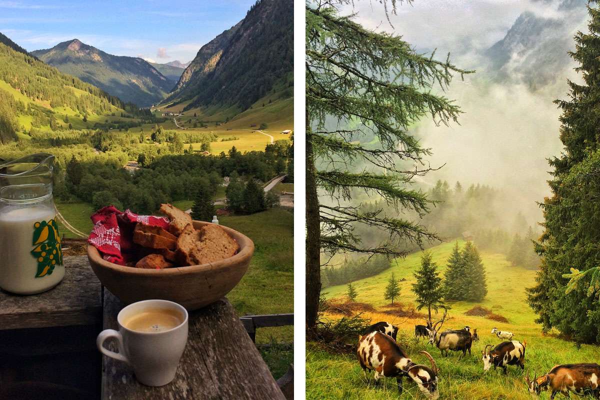 Frühstück auf der Schule der Alm im Valsertal