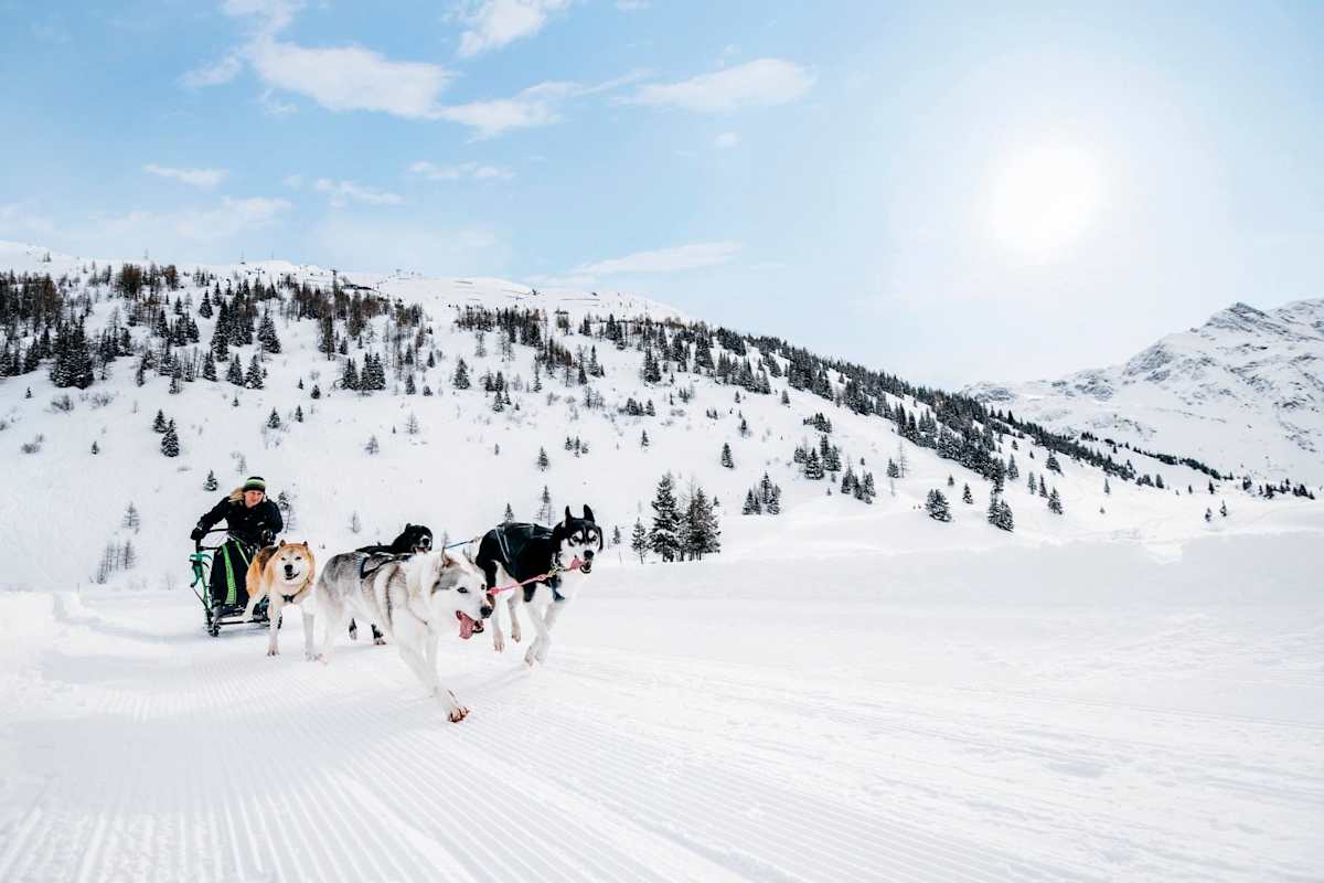 Manuela und ihre Schlittenhunde beim Training