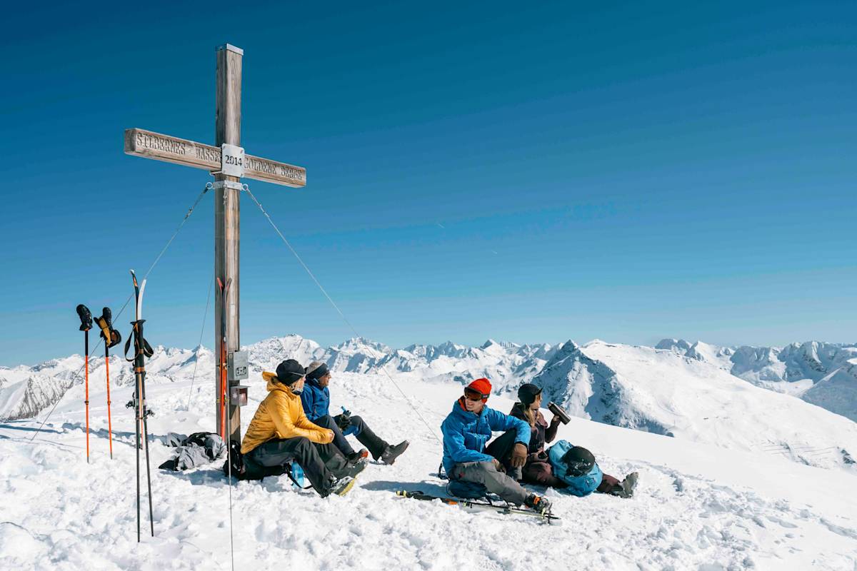 Rast am Gipfel des Silberpfennig