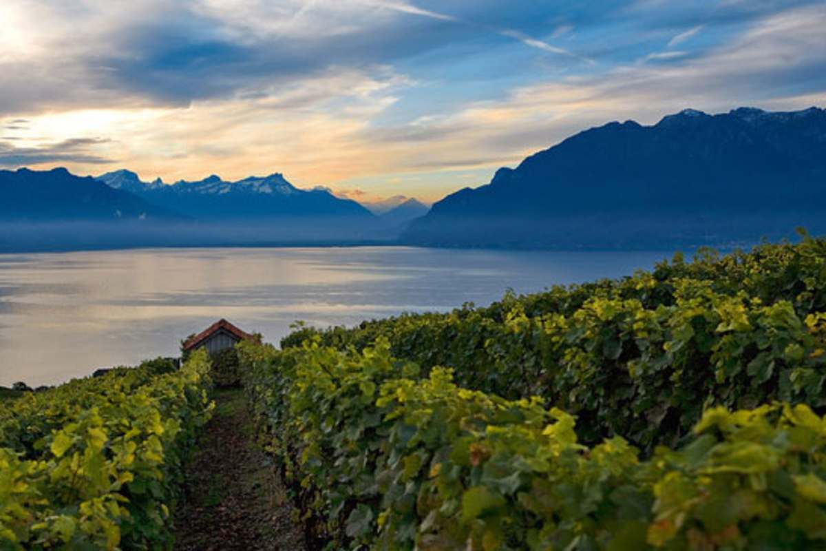 Genfer See in der Schweiz