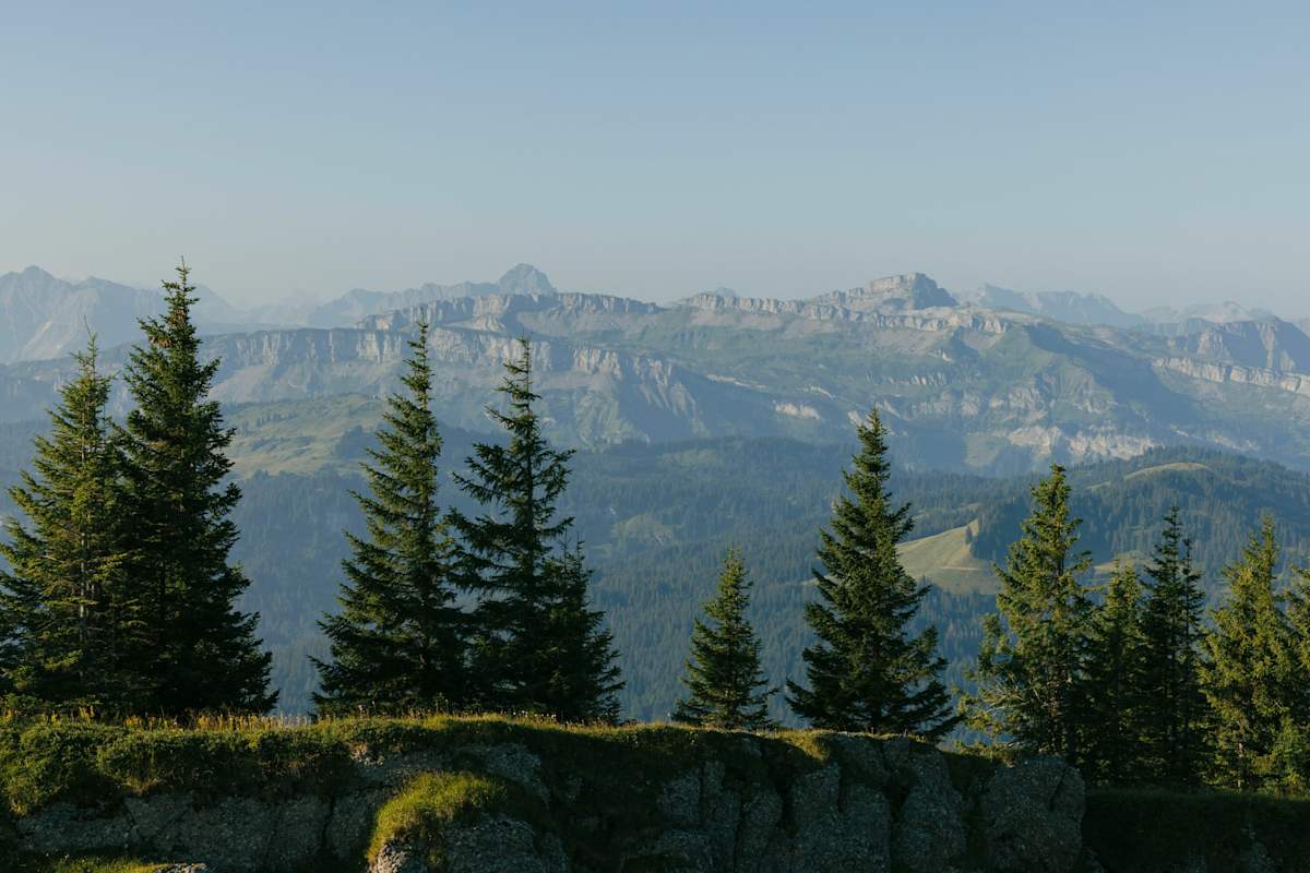 Blick auf die Gottesackerwände