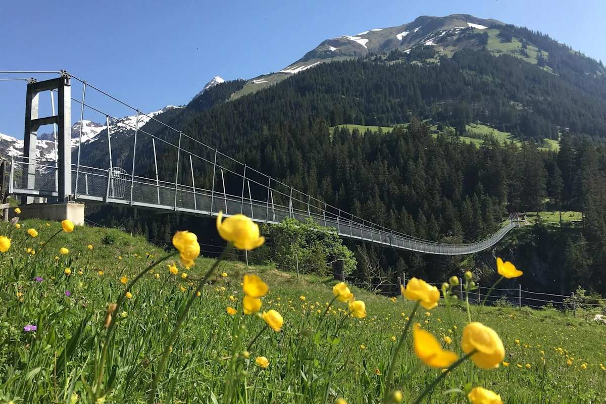 Die imposante Hängebrücke bei Holzgau.