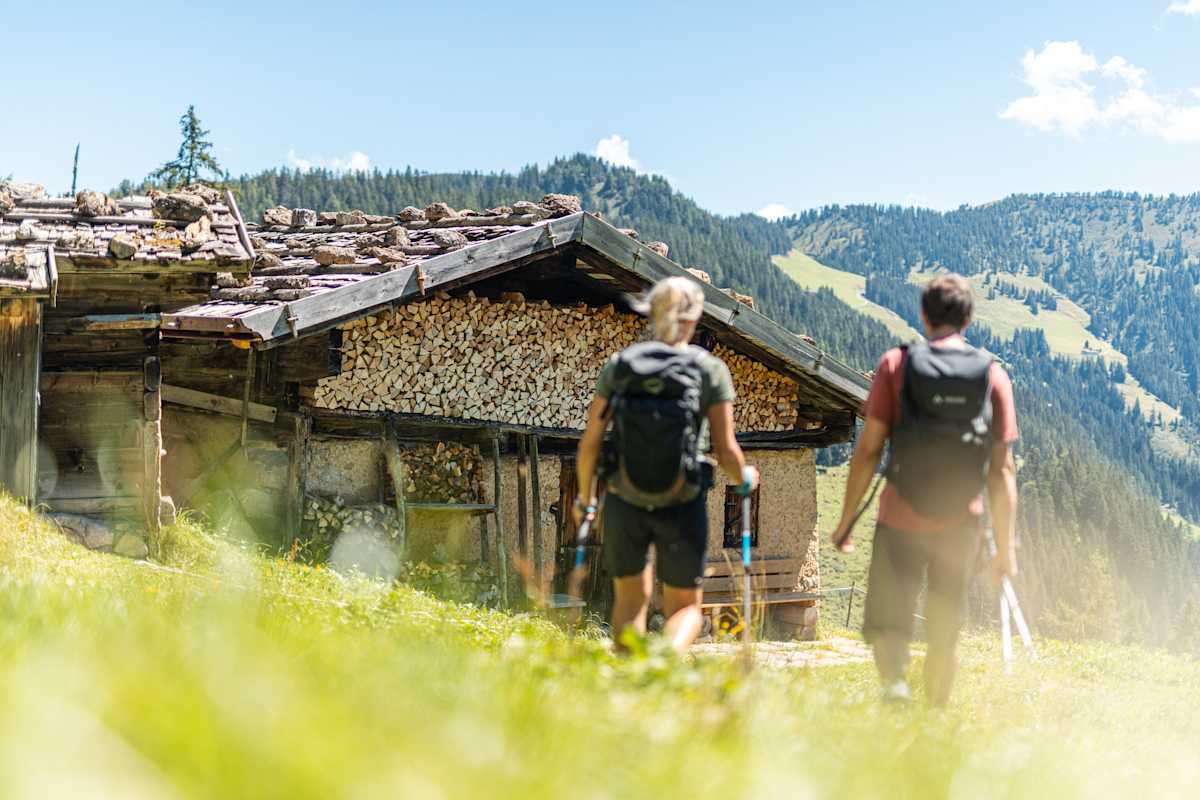 Urige Almen, wie die Halsbergalm nahe dem Hösljoch, prägen die sanften Grasberge der Kitzbüheler Alpen.