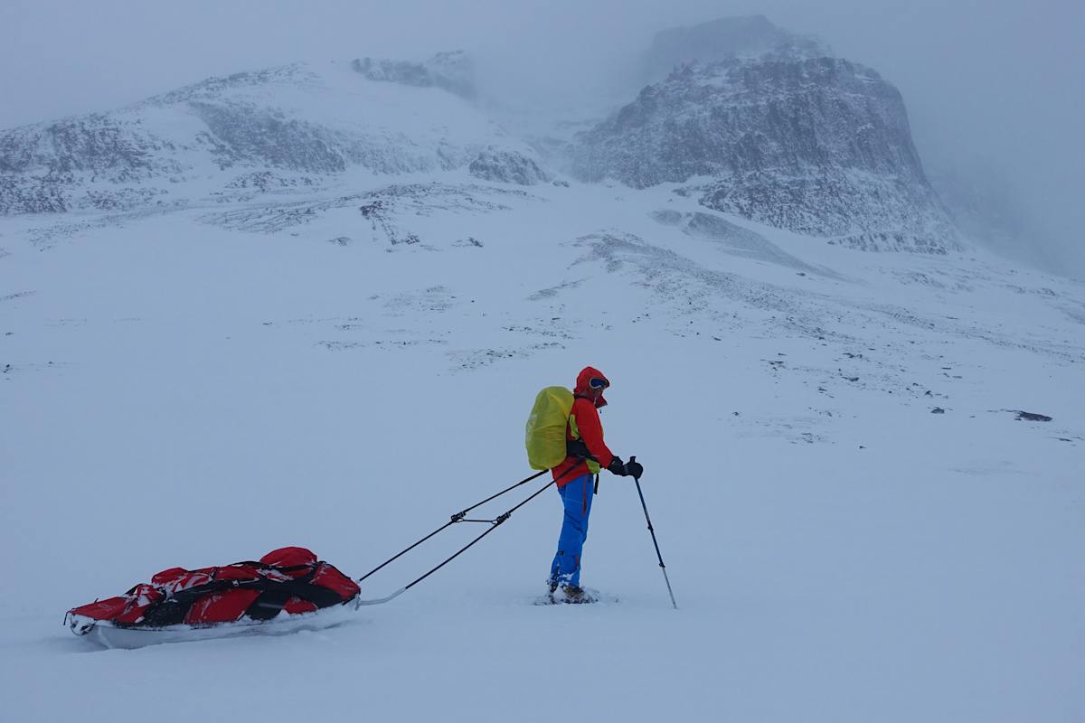 Hans Goger: Expedition im hohen Norden