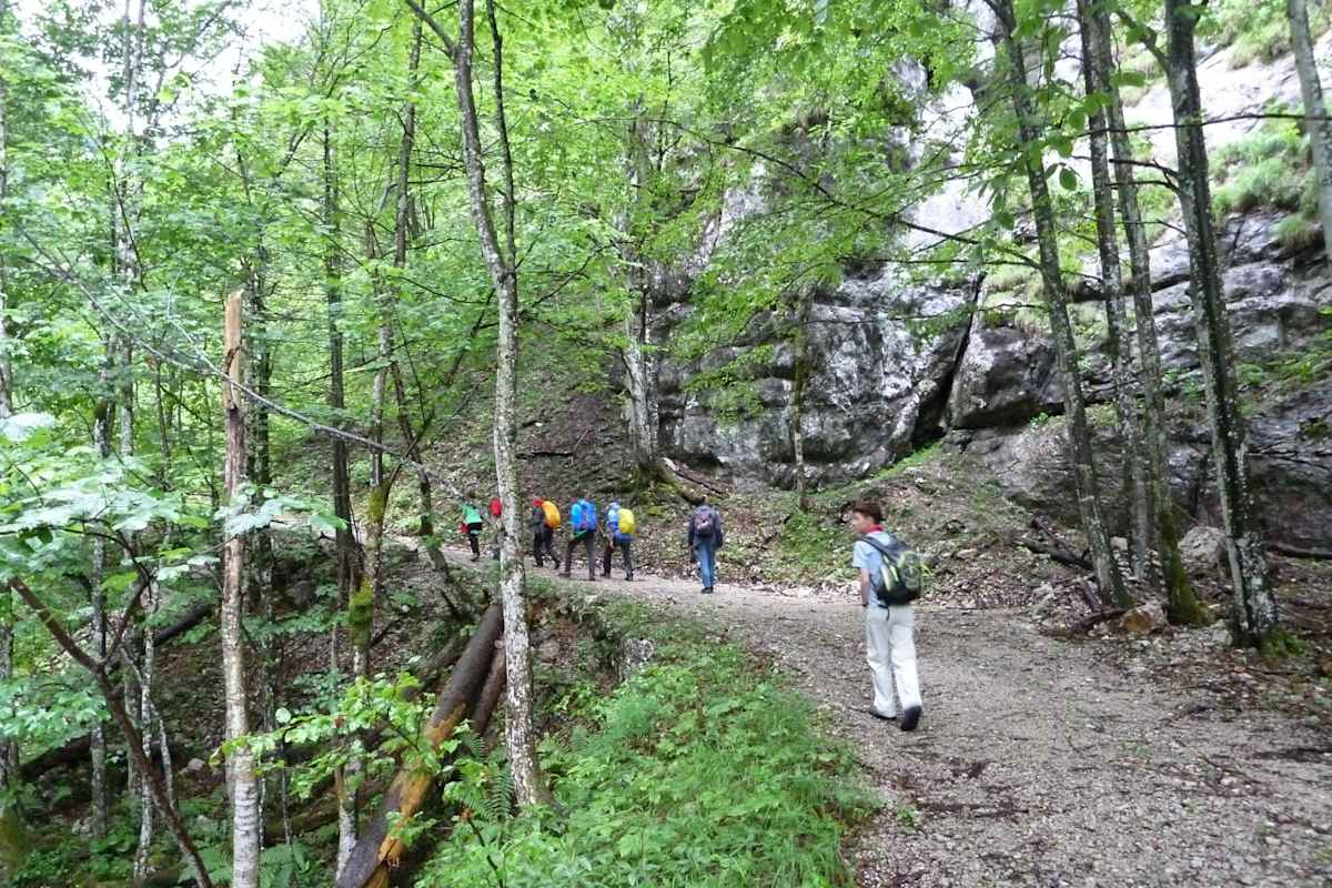 Durch den Hartelsgraben führte eine alte Forststraße bis hinauf zur Sulkaralm.