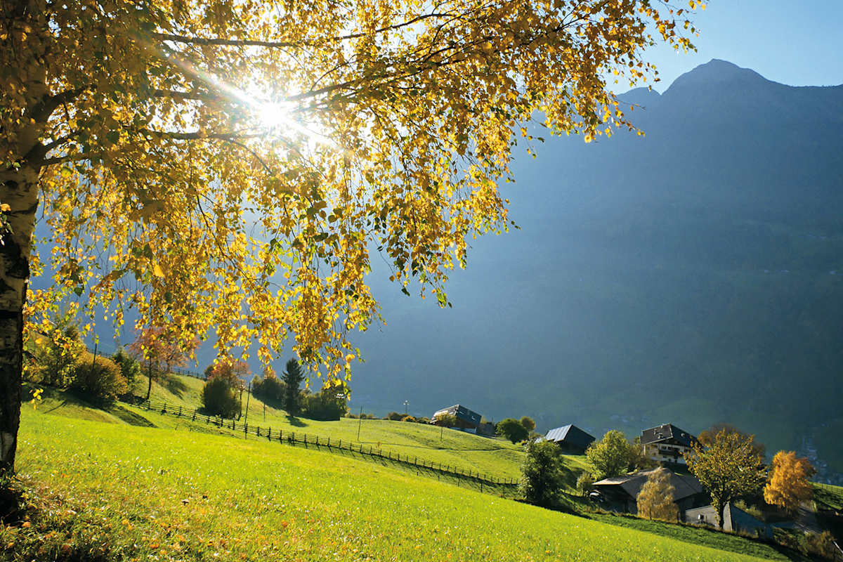 Herbstwanderung rund um Meran