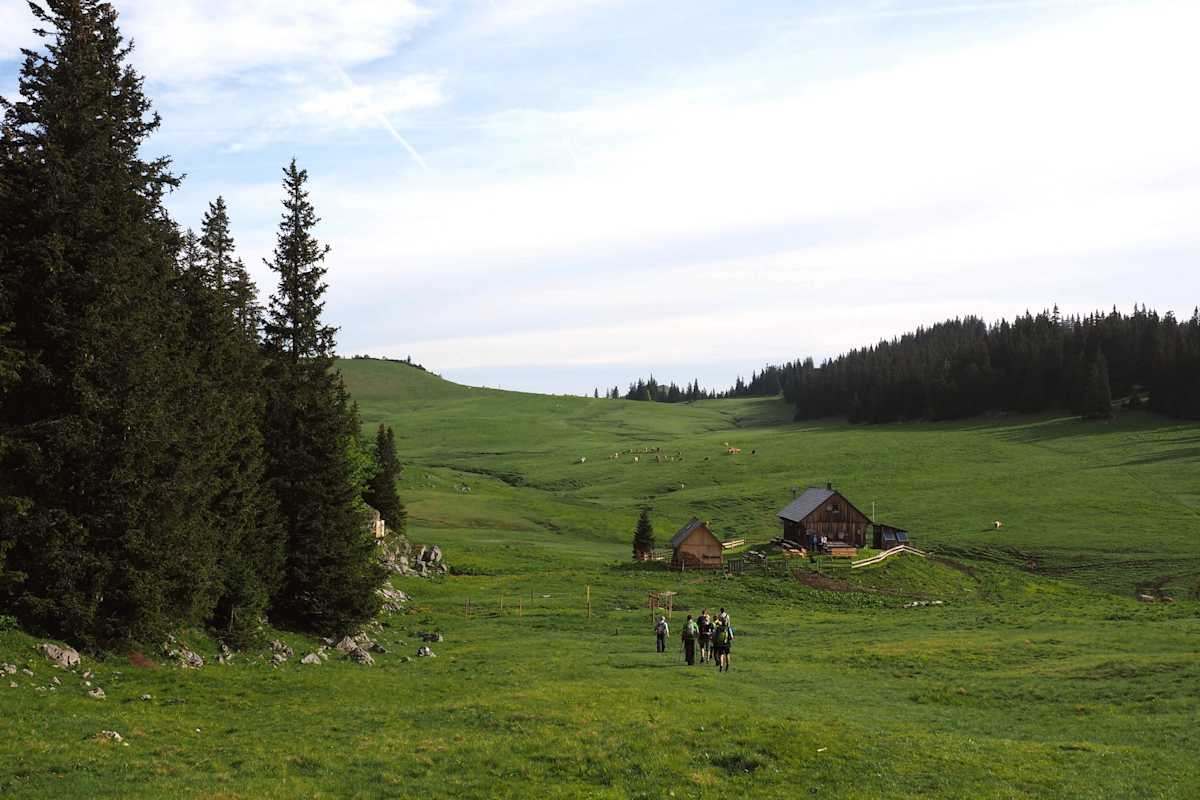 Am Herrenboden am Weg zur Tonion.