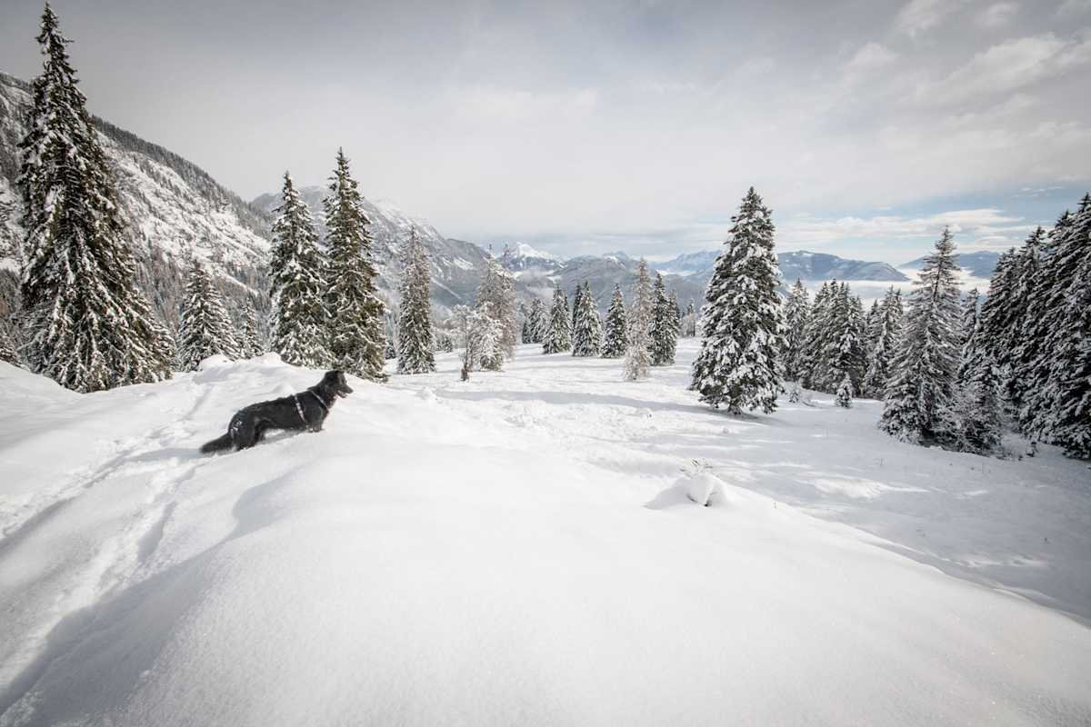 Hochmölbing in der Steiermark