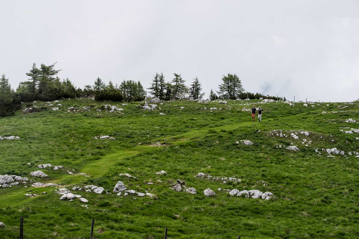Wanderer überqueren die Jahnwiese.