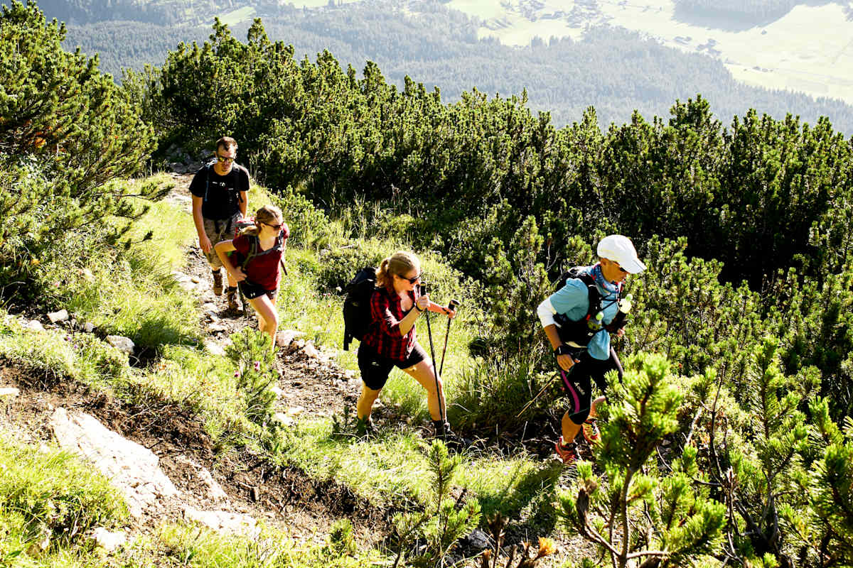 Vier Wanderer im Latschenfeld.