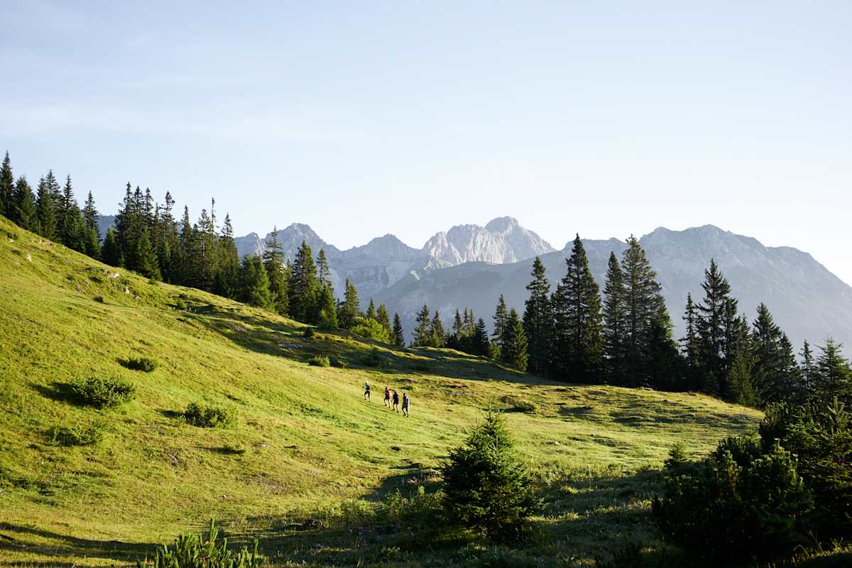 Wunderschönes sonniges Bergpanorama.