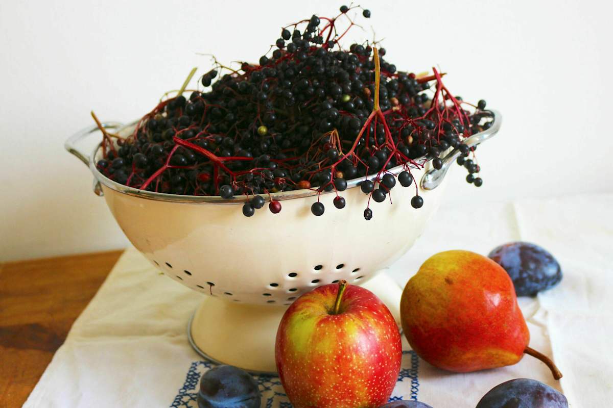 Holunderbeeren mit Apfel, Birne und Zwetschgen