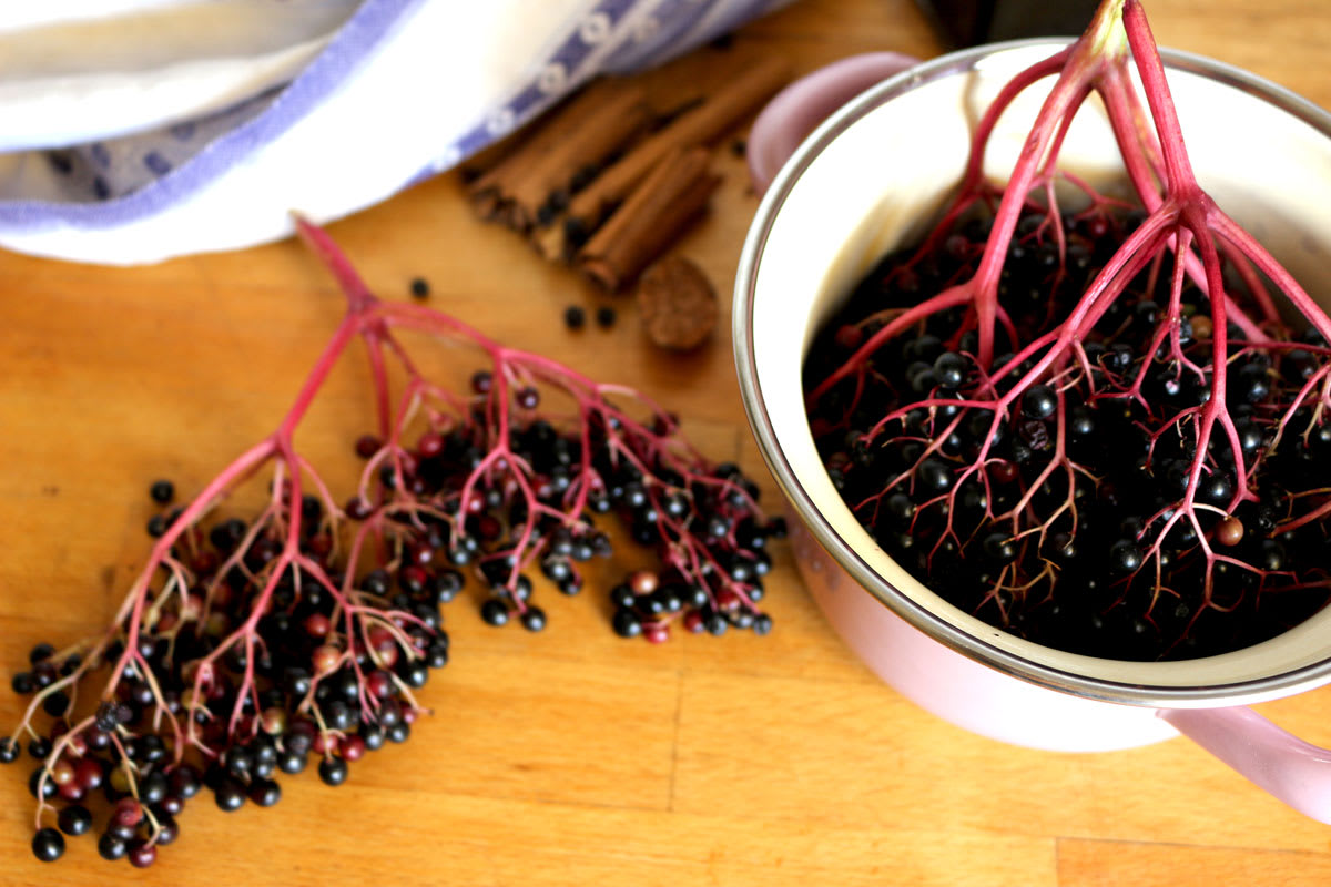 Der schwarze Holunder wurde früher als Nahrungs- und Färbungsmittel verwendet. Darüber hinaus wurden seine Äste zur Herstellung von Flöten benutzt.