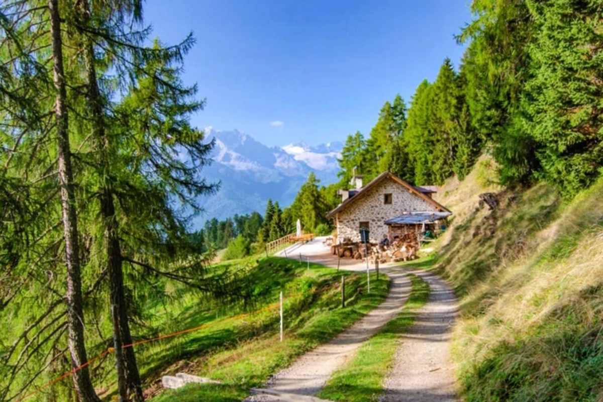 Idyllisch liegt die Malga Stabli über dem Val di Sole und bietet herrliche Ausblicke auf Presanella und Brenta-Dolomiten.