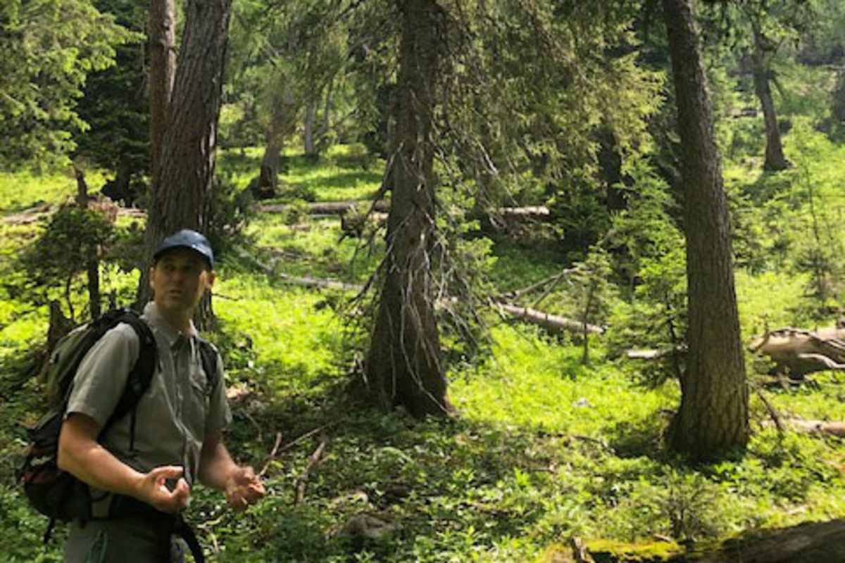 Nationalparkranger Bernhard Sulzbacher