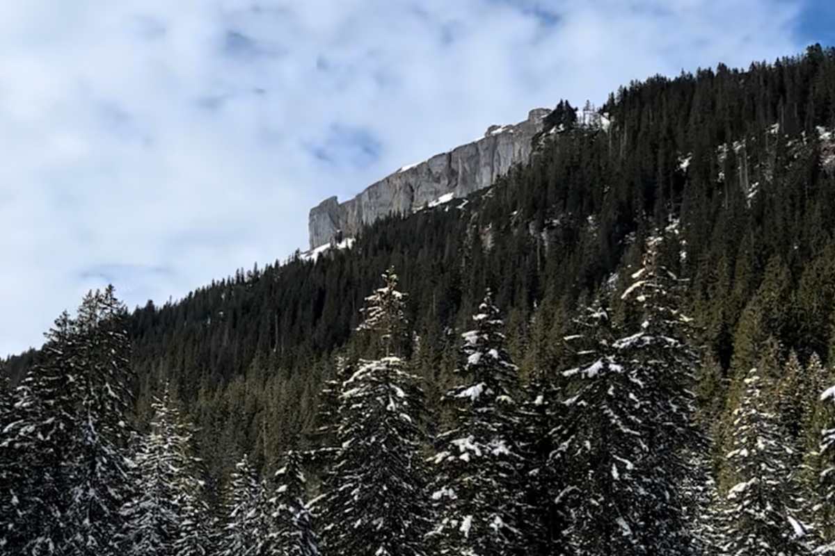 Blick auf die Südwand des Hohen Ifens vom Schwarzwassertal 