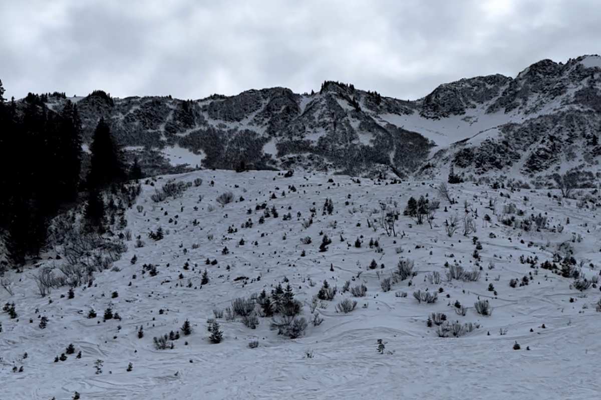 verschneiter Flyschhang vom Schwarzwassertal aus 