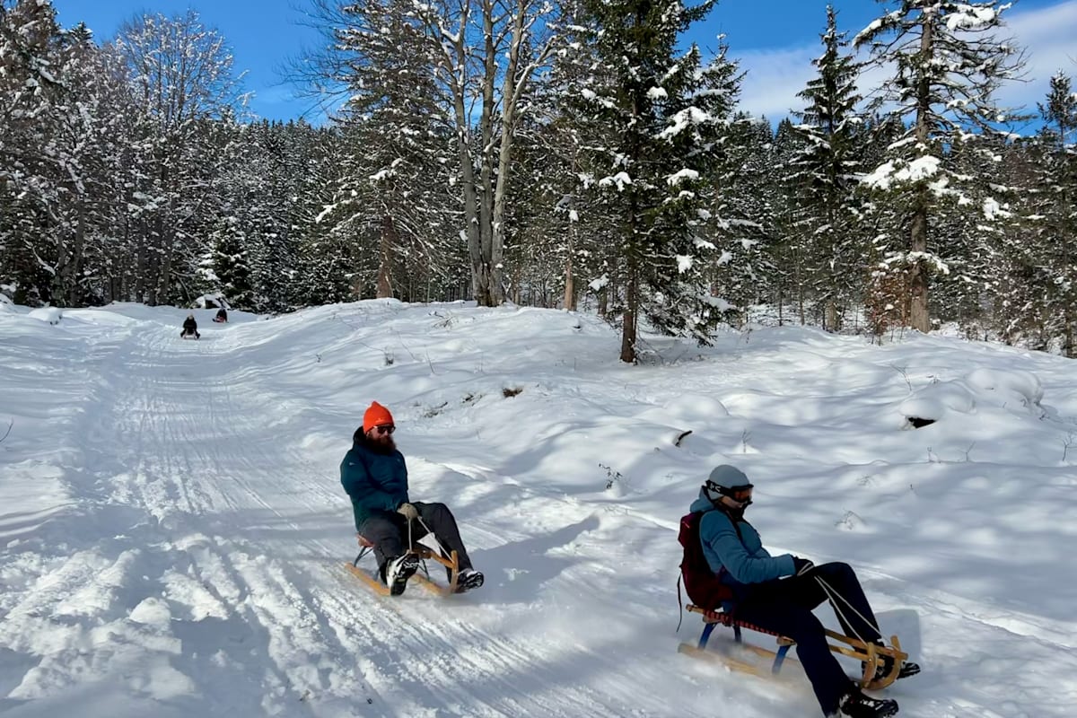 Rodler auf der Kranzberg-Rodelbahn