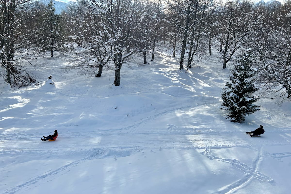 Rodler auf der Kranzberg-Rodelbahn