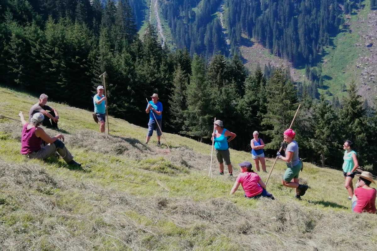 Personen stehen auf einer Bergwiese und ruhen sich von der Arbeit aus.