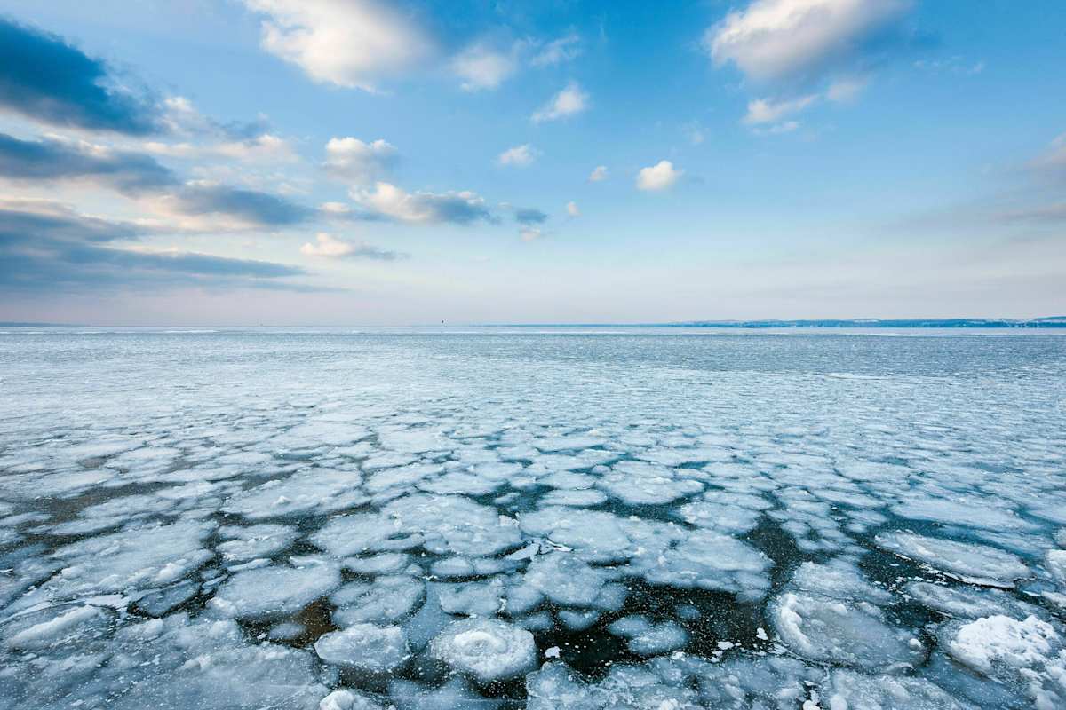 Vorarlberg: Eisdecke am zugefrorenen Ufer des Bodensees