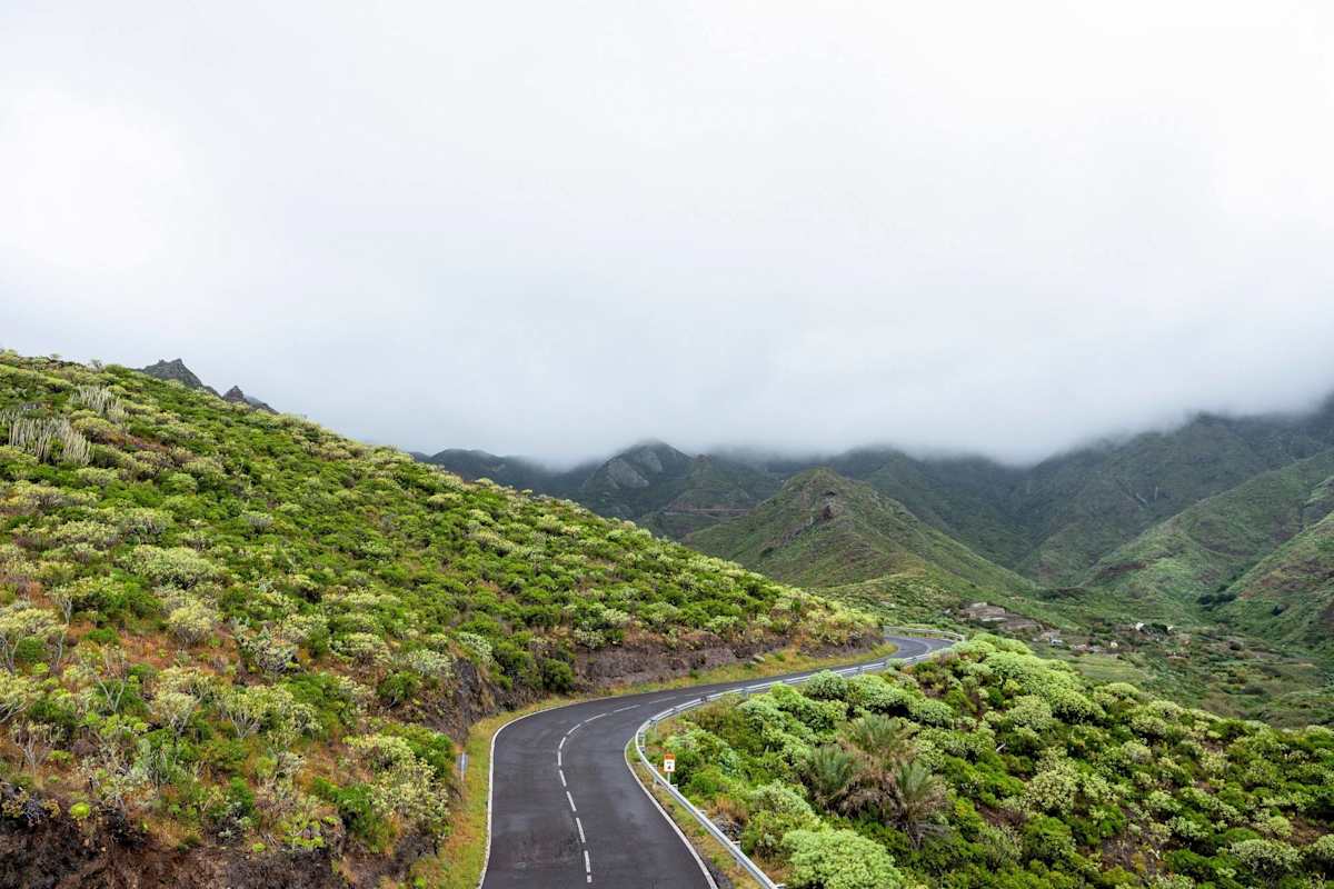 Eine einsame Straße verläuft durch üppiges Grün