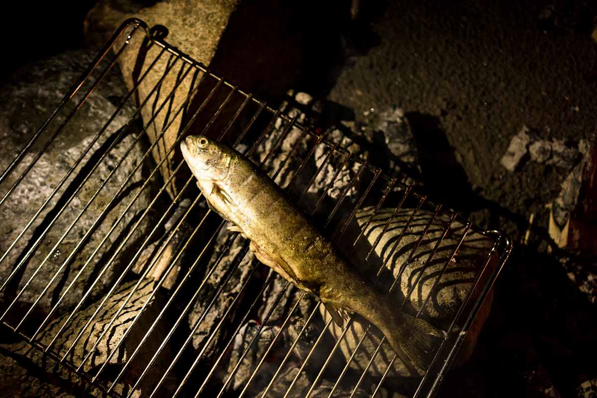 Ein Regenbogenforelle auf dem Grillfest.