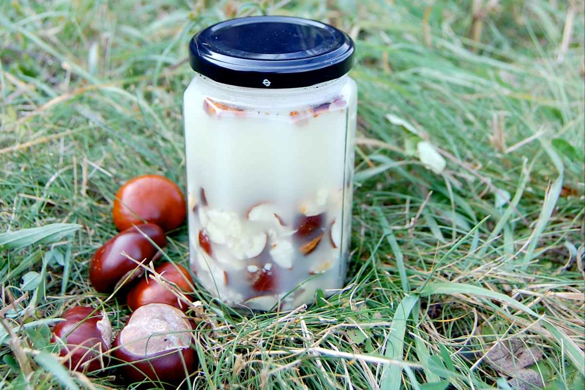 Kastanien-Waschmittel