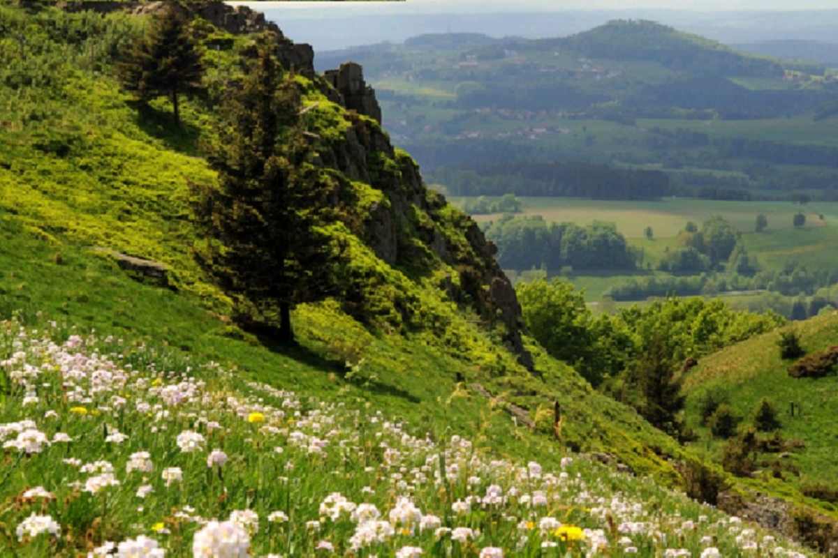 Wandern im Naturpark Bayerische Rhön