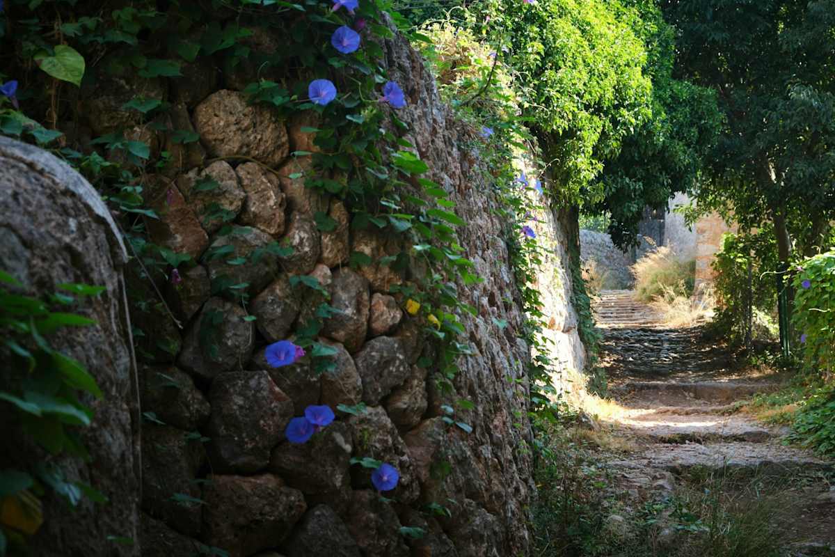 Auf der „Route der Trockensteinmauern“ auf Mallorca.
