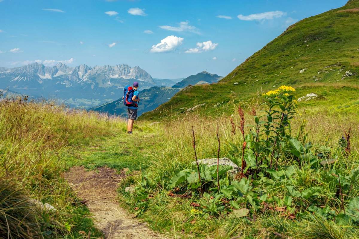 Wandern mit Blick auf den Wilden Kaiser