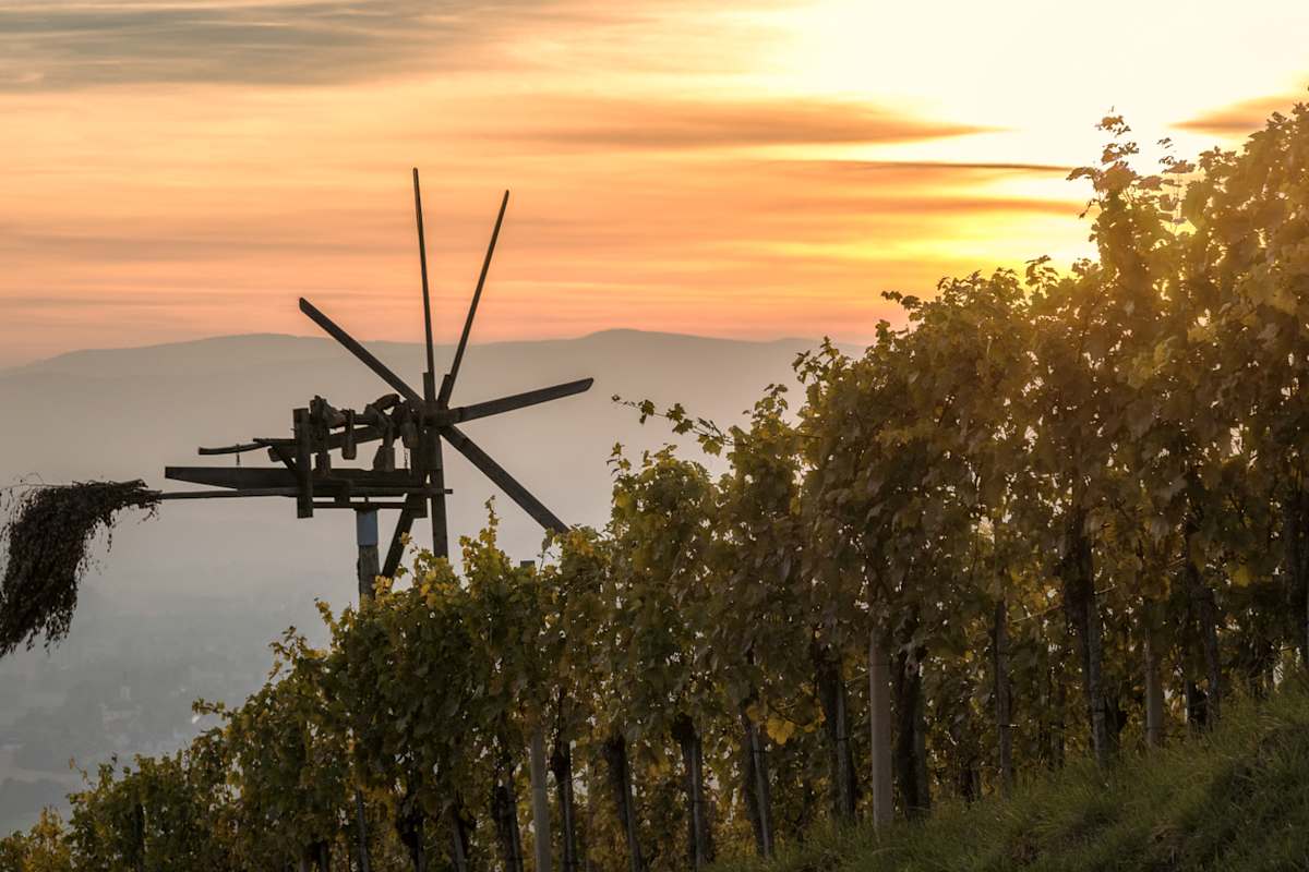Im Rhythmus hölzerner Windräder radelt man auf der Klapotetzrunde vor den Toren der südsteirischen Weinstadt Leibnitz.