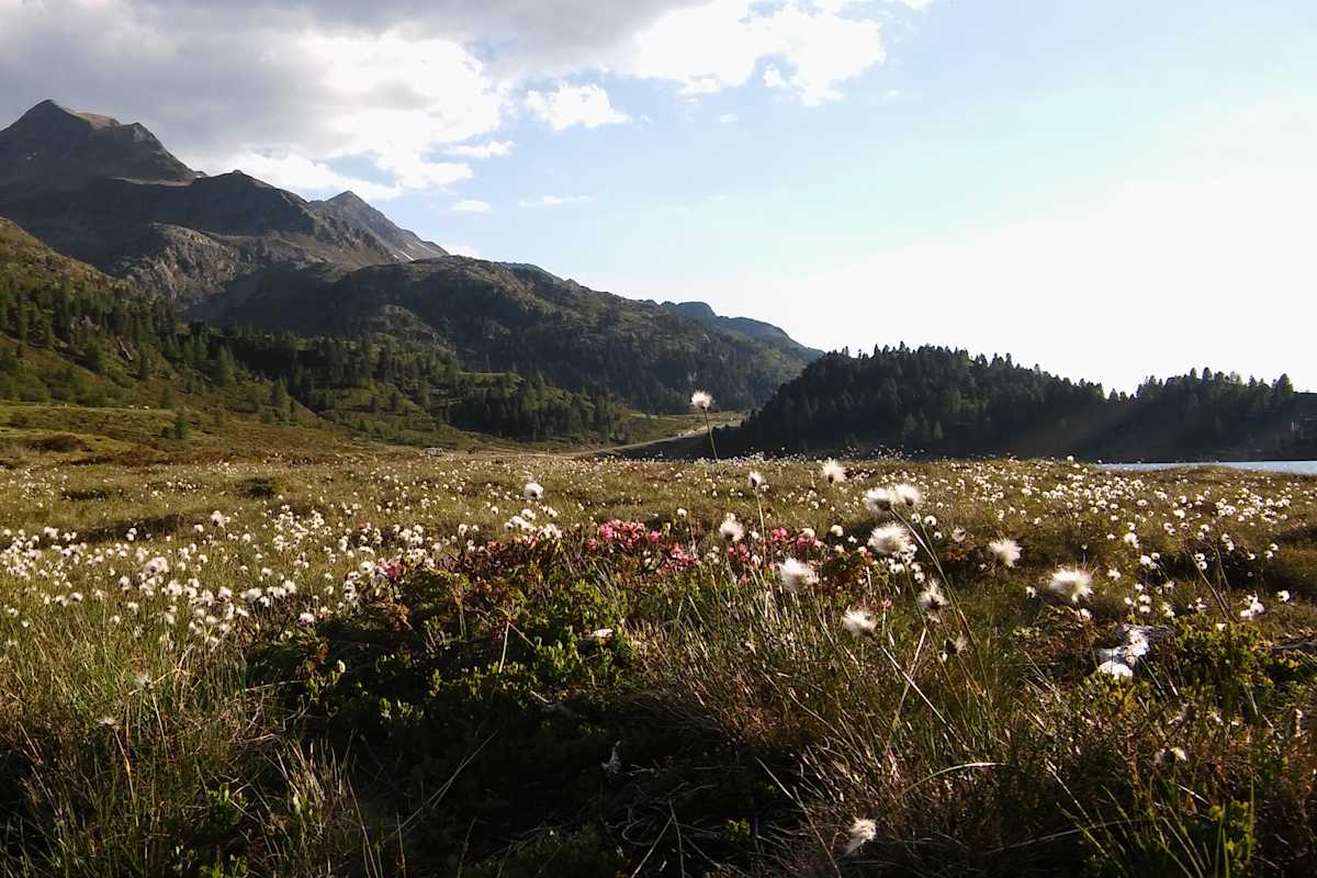 Der Stallersattel auf 2.000 Metern Seehöhe markierte den Übergang vom Defereggental ins Antholzer Tal.